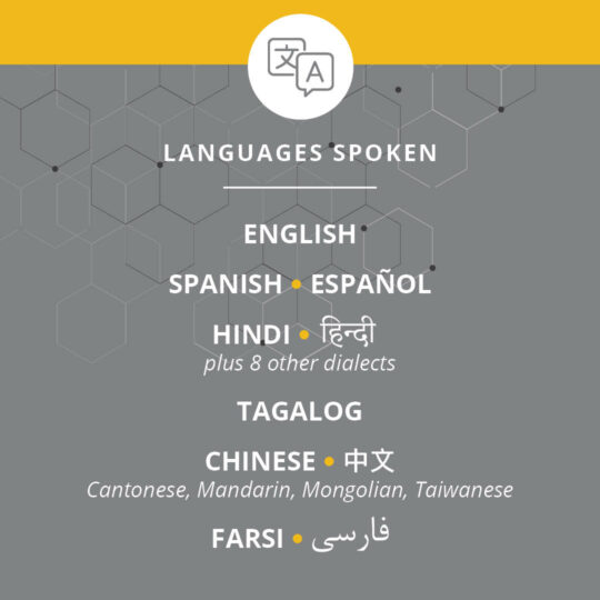 Languages Spoken info-graphic