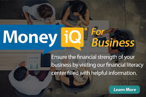 money iq for business overview